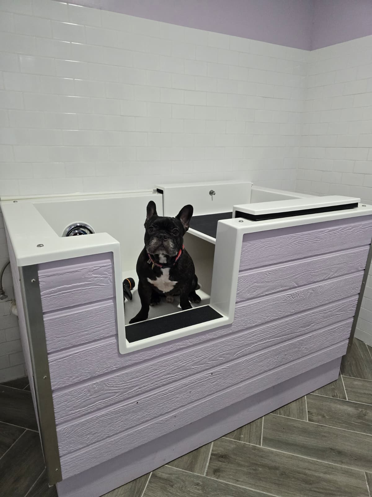 WhatsApp Image 2025-10-21 at 9.18.13 PM