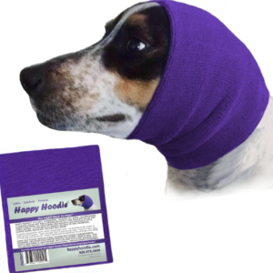Happy Hoodie - Purple Large